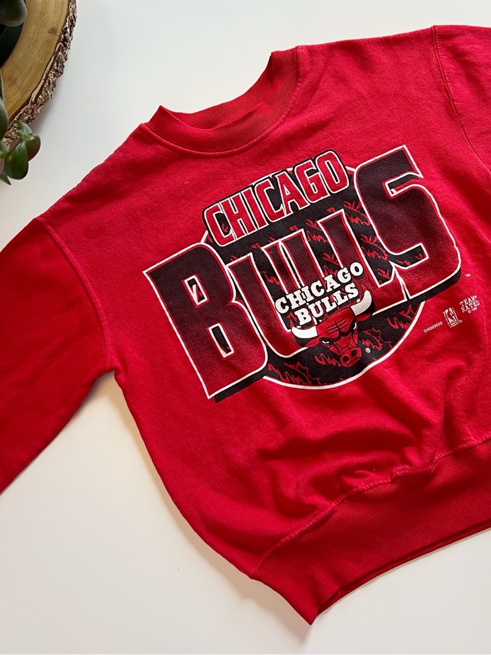 Vintage 1993 Team Rated Chicago Bulls Red Crewneck Sweatshirt | 10-12 Year